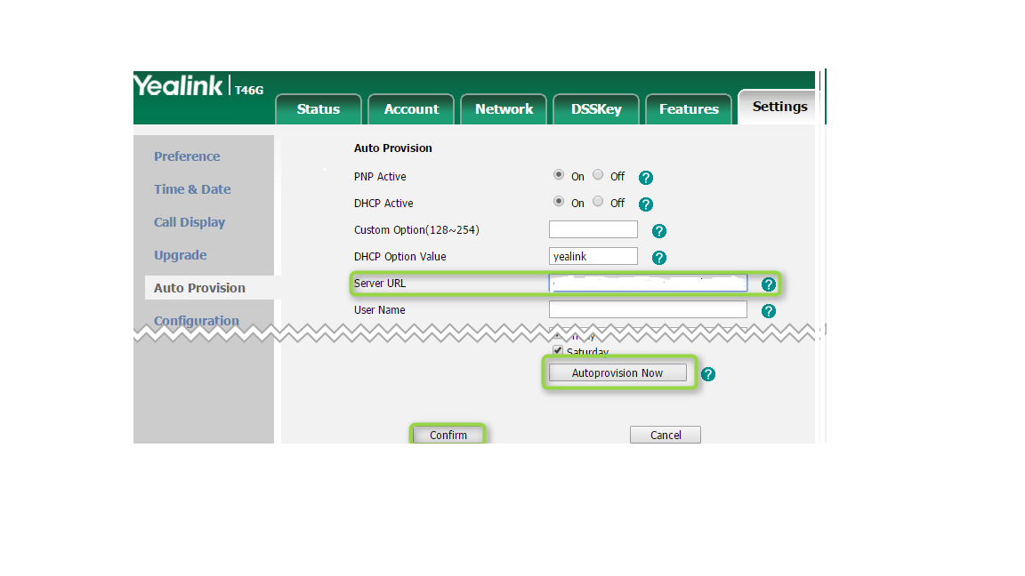 An image highlighting the server url input box.