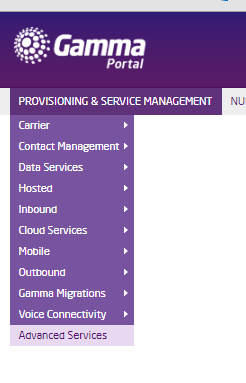 Displays the location of the advanced services button